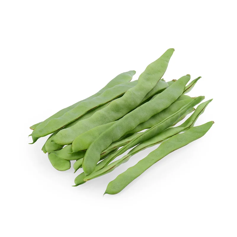 Legacy Seeds — Fukuda Seed Store